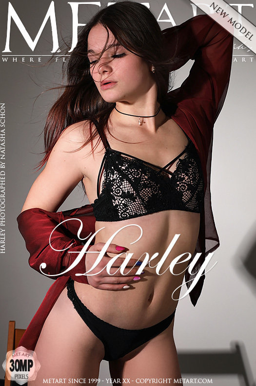 On the cover of Presenting Harley MetArt is attractive Harley